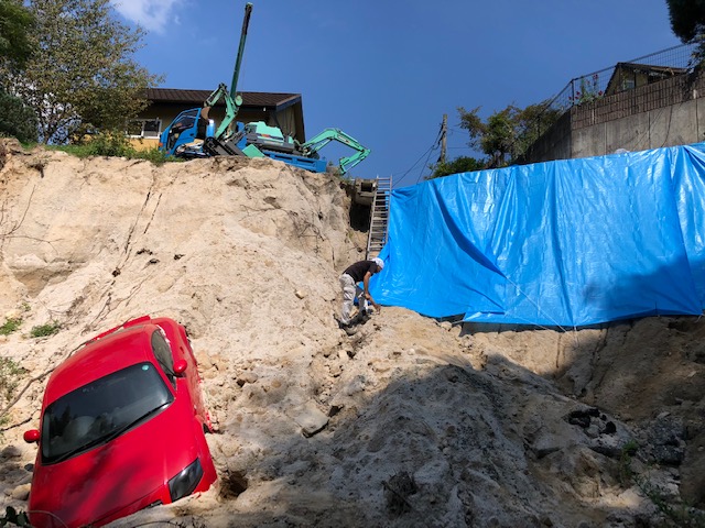 �����񍐎ʐ^