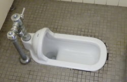 �����񍐎ʐ^