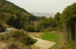 �����񍐎ʐ^