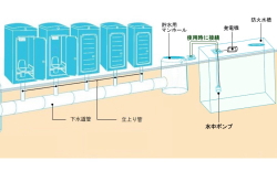 �����񍐎ʐ^