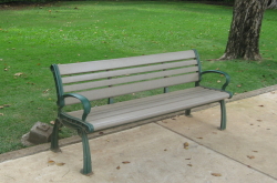 �����񍐎ʐ^